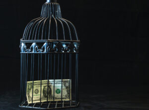 money-in-a-cage